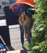 День города Ставрополь, 17 сентября.